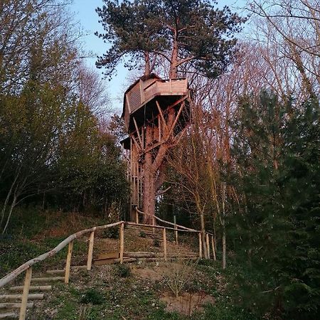 Sherwood Tree Etretat Ngoại thất bức ảnh